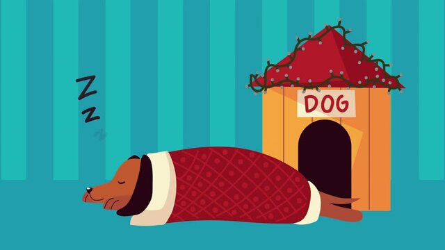 cute little dog sleeping with christmas suit and house