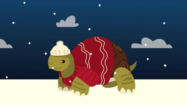 cute little turtle with christmas coat in snowscape at night