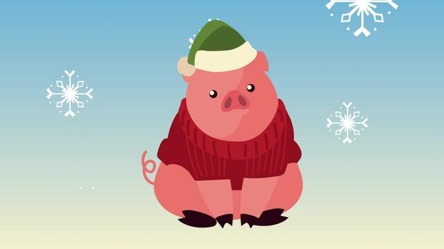 cute little pig with christmas clothes
