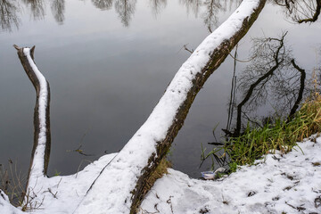 A long tree trunk covered in snow against the water.