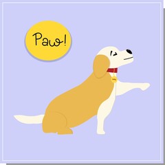 DOG training, the dog gives a paw. team.Beautiful dog training, great design for any purposes. Colleagues work together.