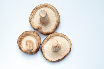 Overview of shiitake mushrooms.