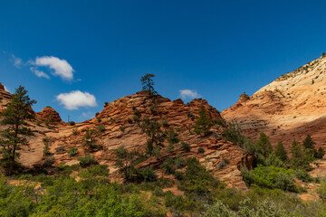 Zion National Park, Utah
