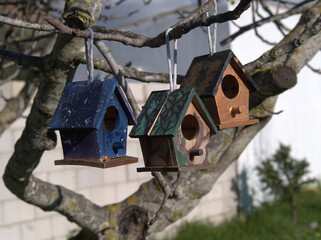 Small wooden house to hang the branches from the trees