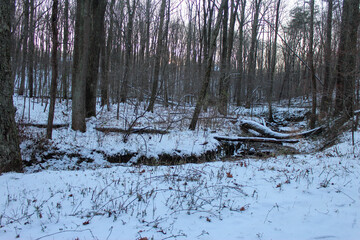 Creek in the snow