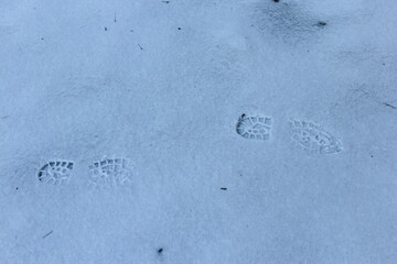 Boot track in snow