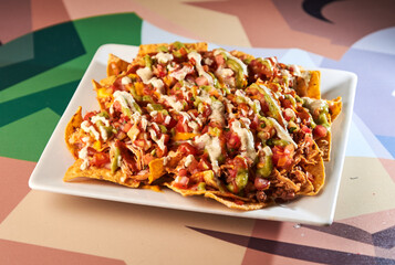 Close up view of chicken nacho tortilla with cream sauce