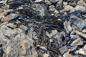 Rock texture and surface background. Cracked and weathered natural stone background. Geometric cracks. Perpendicular cross stone cracks. Surface of rock
