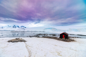 Gentoo penguins near the Port Lockroy Antarctic Base Building with the Glacier in the background and amazing skies.