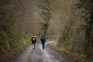 walking in the woods