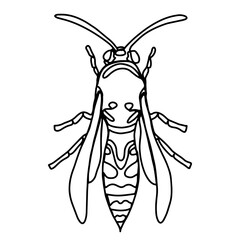 Vector drawing of a wasp. Linear art. Hand drawn illustration. Black insect on a white background. It can be used as a coloring book or to decorate a postcard or packaging