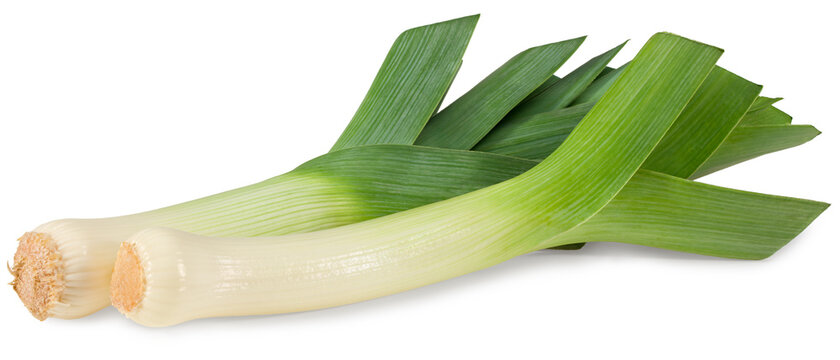 leek isolated on white background. with clipping path. full depth of field