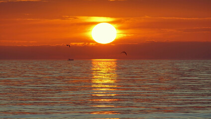 flying in the sunset over the sea