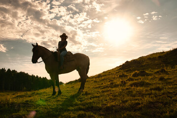 Silhueta de menina e cavalo ao pôr do sol
