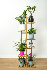 Fototapeta premium Bamboo shelf with plant pots