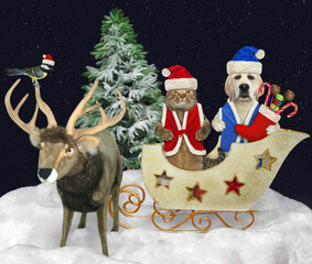 A dog and a cat in Santa Claus costumes with Christmas gifts sit in a reindeer sleigh in a winter wood.