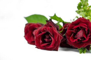 banner with flower bouquet of red roses on isolated white background with copy space for valentines day holiday
