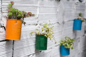 Decorative painted cans with plants