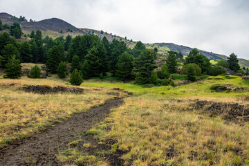 Fototapeta premium Mount Etna volcanic landscape and its typical summer vegetation