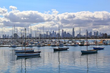 Melbourne penguin oil painting
