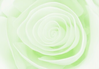 light green pastel Rose close up background, 3d render