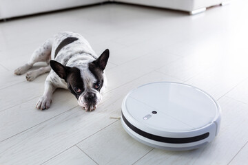 Robotic vacuum cleaner hoovering home with dog lying on the floor