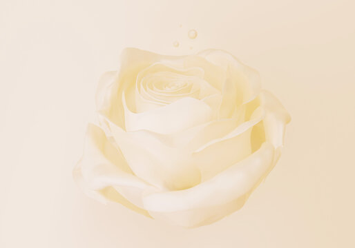 elegant light yellow pastel rose, 3d render