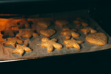 Gingerbread cookies are in the process of baking in the oven stove.