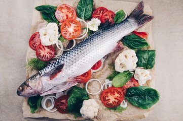 Fresh raw whole mullet fish on parchment paper before baking with delicious ingredients for cooking