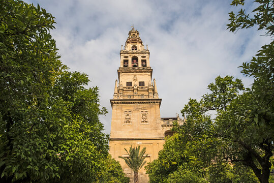 Spain, Andalusia, Cordoba, Minaret of Great Mosque of C&radic;&ge;rdoba behind trees