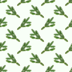Top view flat lay green fir tree spruce seamless repeat pattern on white background.