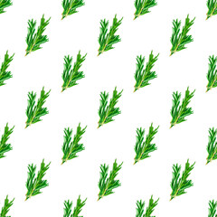Fresh green rosemary leaves, twigs and branches seamless pattern on white background.