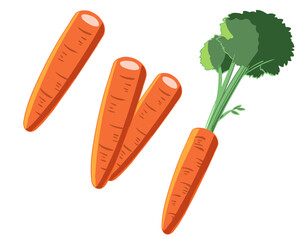 にんじん(線無し)