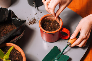 Crop gardener planting seeds into cup