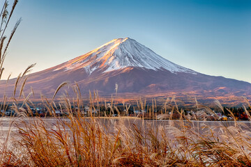Fototapeta premium Fujiyama Mountain At Kawaguchiko Lake With Sedge Grass In Foreground in Japan.