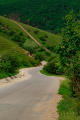 road in the countryside