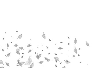 Light Silver, Gray vector sketch cover.