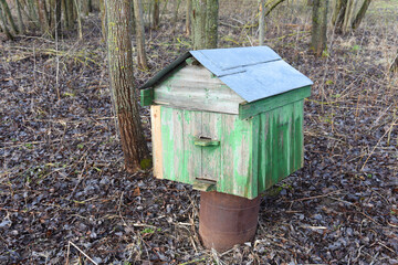 Apiary located in nature for collect honey from honeycomb. Old wooden hive for bees. Beekeeping natural honey. Bees assist in pollination of nearby crops for farmers fields. Harvesting