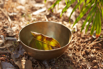 sound theraphy of singing bowl 