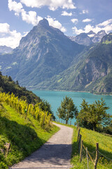 sunny day in Sisikon at Lake Uri in the Swiss Alps