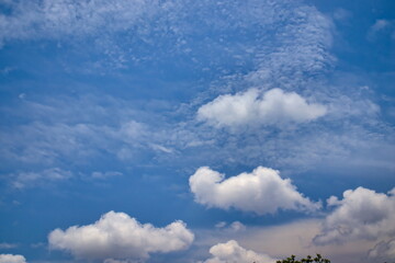 Obraz premium blue sky covered by a curtain of Altocumulus clouds, with cumulus clouds floating softly in the foreground.