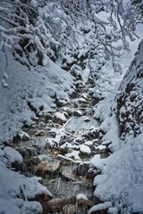 Fototapeta na wymiar Bach mit Steinen fließt durch schneebedeckte Landschaft