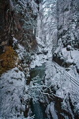 Klamm / Fluss flie&szlig;t zwischen schneebedeckten Felsen und B&auml;umen durch Winterlandschaft