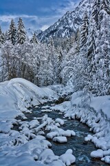 Fototapeta na wymiar Bach fließt zwischen schneebedeckten Tannenbäumen auf Berg zu