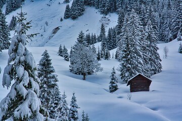 Hütte in verschneiter Landschaft mit schneebedeckten Tannenbäumen