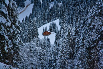 Hütte zwischen verschneiten Tannenbäumen