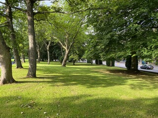 Parkland, with old trees, next to the main, Bradford to Keighley road