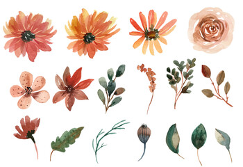 Orange and Cream Watercolor Floral Vector Collection