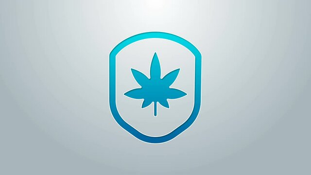 Blue line Shield and marijuana or cannabis leaf icon isolated on grey background. Marijuana legalization. Hemp symbol. 4K Video motion graphic animation