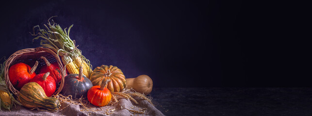 Fototapeta na wymiar Autumn still life with pumpkin fruits of different colors and sizes and corn, banner, closeup on a dark background with space for text. Concept of Thanksgiving day